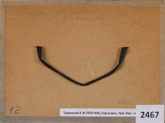 Туржанский Леонард Викторович. Серый день. Урал 